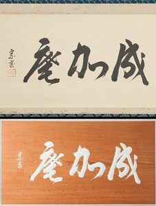 【五】裏千家十四代 碩叟宗室 淡々斎 原書 『成加庵』 真作 紙本 墨書 掛軸 共箱 ／ 木彫 板額 掛物 刻書 刻字 篆刻 濡額