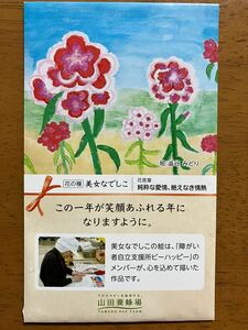 ★♪花の種★美女なでしこ★山田養蜂場♪★