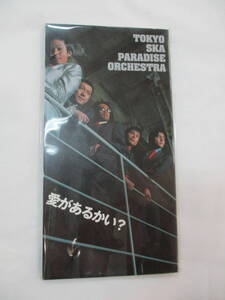 【即決あり】◆ 未開封 1998年 東京スカパラダイスオーケストラ 愛があるかい？JAZZIE SPEAKS AVDD-20233 8cm シングル avex 90年代 ▼ 