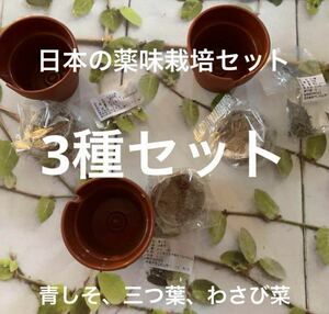 日本の薬味栽培セット　3種セット　送料無料　匿名配送