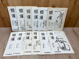 相道　全12冊揃【五千言坊玄通子/仙道連】　CIA1474