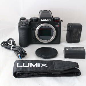 ☆実用品・ショット数2177☆ Panasonic LUMIX S5II ボディ DC-S5M2 パナソニック ルミックス S5 II #2892