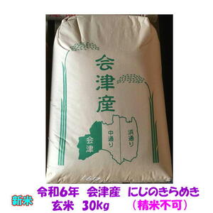 新米 玄米 30kg 令和６年産 会津 にじのきらめき 大袋 (精米 小分け 不可) 東北~関西 送料込み 送料無料 調製玄米 米 お米