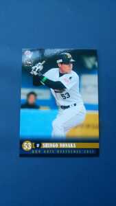 2011BBM オリックス・バファローズ Bs53 野中信吾