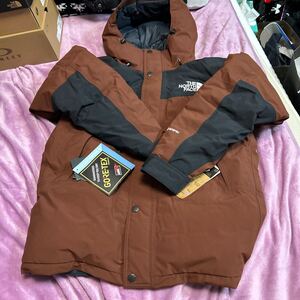 ノースフェイス　マウンテンダウンジャケット　新品M ココア NORTH FACE GORE-TEX MOUNTAIN JACKET マウンテンジャケット