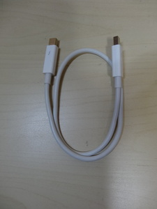 [送料無料 即決] Apple Thunderboltケーブル（0.5 m）ホワイト USED