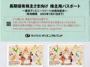 1円スタート③◆ 東京ディズニーリゾート 株主優待券 パスポート 2枚 有効期限2025年1月31日迄 ディズニーランド ディズニーシー ◆