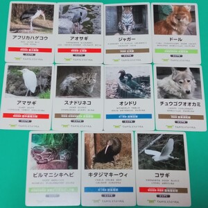 大阪市営地下鉄 天王寺動物園100周年記念 どうぶつコレクションカード 11種 キタジマキーウィ チュウゴクオオカミ ジャガー スナドリネコ他