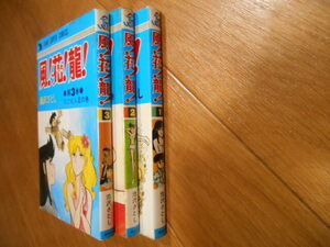 オール初版　風！花！龍！　全３巻　池沢さとし　集英社　全巻＆完結　落札後即日発送可能該当商品！