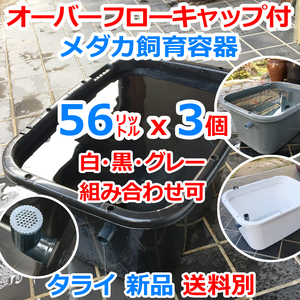 メダカ飼育容器【56㍑ 白黒グレー選択可 3個 オーバーフローキャップ付】送料別 メダカ飼育ケース 金魚 ビオトープ 睡蓮 水草【五色アクア