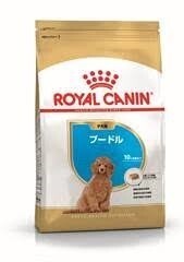 ロイヤルカナン パピー 子犬用 プードル　1.5kg 正規品 即決