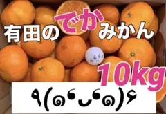 C12D【有田のでかみかん】kg 3L家庭用大玉サイズ