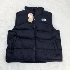 新品 ザノースフェイス NEW PUFFY EX ON BALL VEST