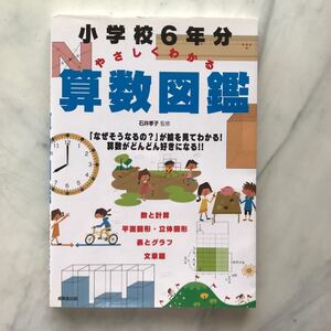 小学校6年分やさしくわかる算数図鑑　石井孝子/監修　成美堂出版