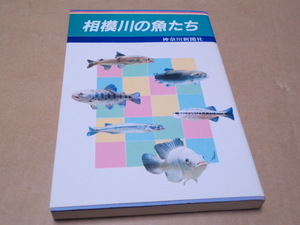 相模川の魚たち