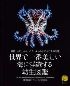 世界で一番美しい海に浮遊する幼生図鑑 稚魚、エビ、カニ、イカ、タコの子どもたちの生態/水口博也(編者),横田有香子(写真家)