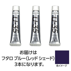 まとめ得 【3本×5セット】 ターナー色彩 U35 フタロブルー(レッドシェード)20ml TURNER108671X5 x [2個] /l