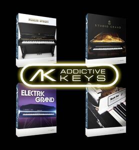 【正規品】Addictive Keys StadioGrand