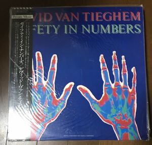 DAVID VAN TIEGHEM Safety in numbers 帯坂本龍一 参加