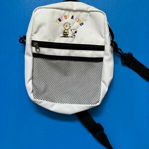 ★送料無料38★　Lindsay　スヌーピー　バッグ　BAG 　the　PEANUTS　ピーナッツ　チャーリーブラウン　バック