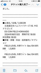 北海道日本ハムファイターズ VS. 中日ドラゴンズ　日本生命セ・パ交流戦　ペアチケット