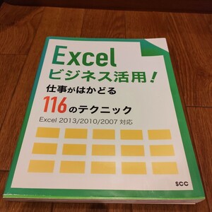 Excel ビジネス活用 ！ 仕事がはかどる116のテクニック 【中古品】