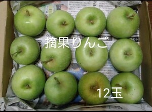 摘果りんご　ミニミニ1キロ　12玉　 加工用