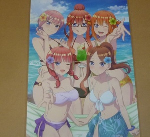 五等分の花嫁　ガールズ＆パンツァー 最終章■■切抜ラミネート処理品 保護品■40