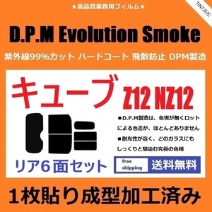 ◆１枚貼り成型加工済みフィルム◆ キューブ Z12 NZ12 【EVOスモーク】 D.P.M Evolution Smoke ドライ成型