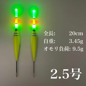 電気ウキ　2.5号　棒ウキ　LED 3点発光　超高輝度　夜釣り　ヤリイカ　遠投 伊豆