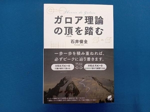 ガロア理論の頂を踏む 石井俊全