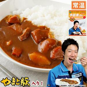 1箱 水谷隼カレー 200g フリーデン [常温] 水谷隼 レトルトカレー レトルト レトルト食品 カレー ルー 食品 常温保存 卓球