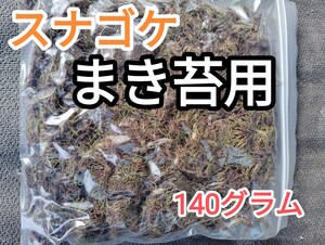 ★スナゴケ・まき苔用・30×25cmサイズ・約140グラム