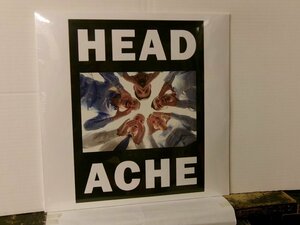 ▲2LP HEADACHE / THE HEAD HURTS BUT THE HEART KNOWS THE TRUTH (DELUXE) 輸入盤・新品・未使用品 PLZ MAKE IT RUINZ PLZ051◇r60511