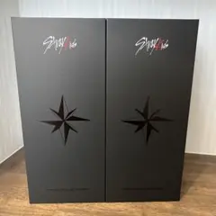 Stray Kids スキズ 公式ペンライト 新品未開封 2本セット