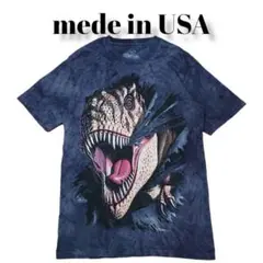 made in USAビッグプリントダイタイ柄古着Tシャツティラノサウルス恐竜