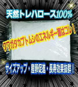 クワガタ・カブトムシのエネルギー源！トレハロース粉末☆マットや菌糸、ゼリーに混ぜるだけでサイズアップ、産卵数アップ、長寿効果抜群！