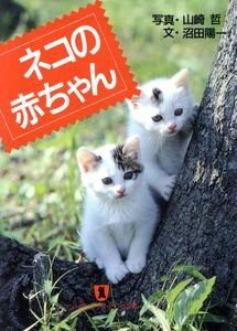 ネコの赤ちゃん ノン・ポシェットノン・ポシェット・ビジュアル/山崎哲【写真】,沼田陽一【文】