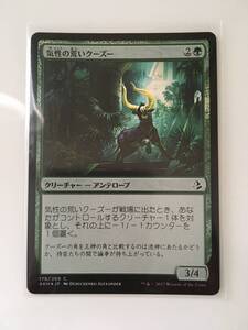 MTG　気性の荒いクーズー/Ornery Kudu　(AKH/アモンケット,日) 1枚(Foil)