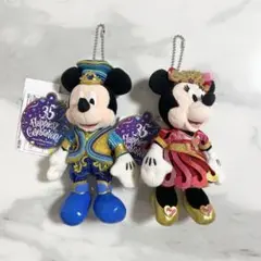 ディズニーランド 35周年 ミッキー  ミニー ぬいば ぬいぐるみ