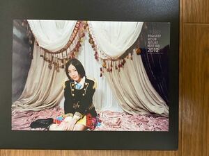 SKE48 松井珠理奈 写真 DVD特典 AKB リクエストアワー2012