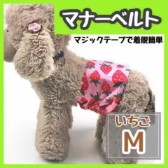 M マナーベルト マナーバンド　 犬の服　犬 猫 ワンちゃん用 いちご　オムツ