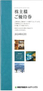 甲南☆東急不動産ホールディングス☆株主様ご優待券冊子☆100株以上500株未満☆2025.8.31【管理7185】