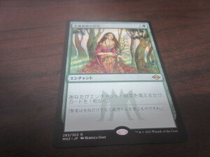 MTG　女魔術師の存在　日本語　MH2