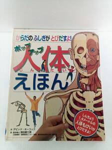 ポップアップ人体えほん　からだのふしぎがとびだすよ！ （からだのふしぎがとびだすよ！） デビッド・ホーコック／作　須田都三男／訳