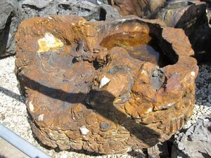 木化石 水鉢 庭石 つくばい 手水鉢 珪化木 蹲 景石 天然石 和風 庭園 銘石 鑑賞石 ぼっかせき s-ni050