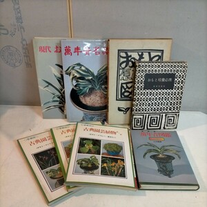 おもと関連本 8冊まとめ 原色おもと図鑑 現代おもと名品集 万年青 萬年青◇古本/経年劣化/スレヤケヨゴレシミ/写真でご確認下さい/NCNR