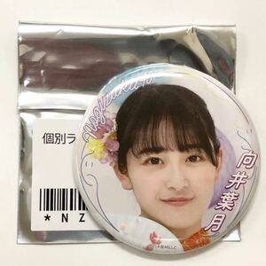 向井葉月 乃木坂46 個別ランダム缶バッジ 真夏のドリームくじ 新品 限定販売品