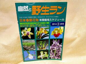 『自然と野生ラン』（２０１４年３月号）日本春蘭花物年間栽培スケジュール