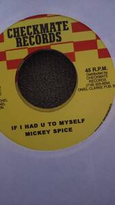 Heartwarming Mid Track Rise Up Riddim Single 4枚Set from Checkmate Records Freddie McGregor Glen Washington Mickey Spice Sluggy